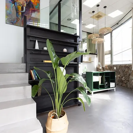 Okstay Loft Victoria Tenerife Apartment